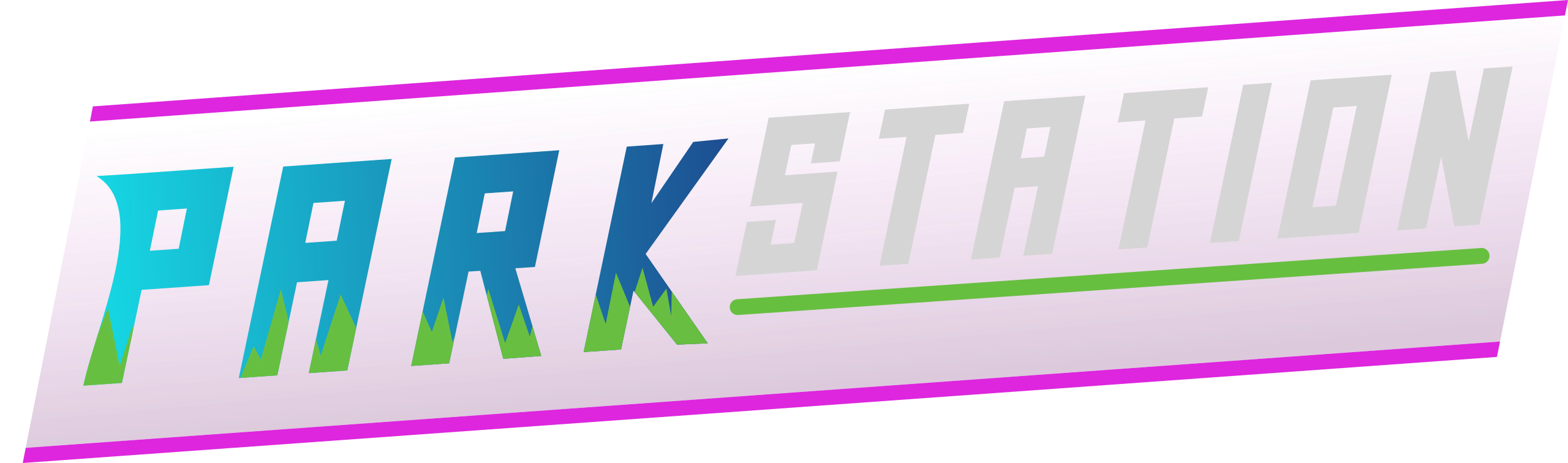 parkstation banner